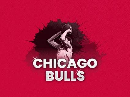 Chicago Bulls vs Phoenix Suns (Preseason Game)
